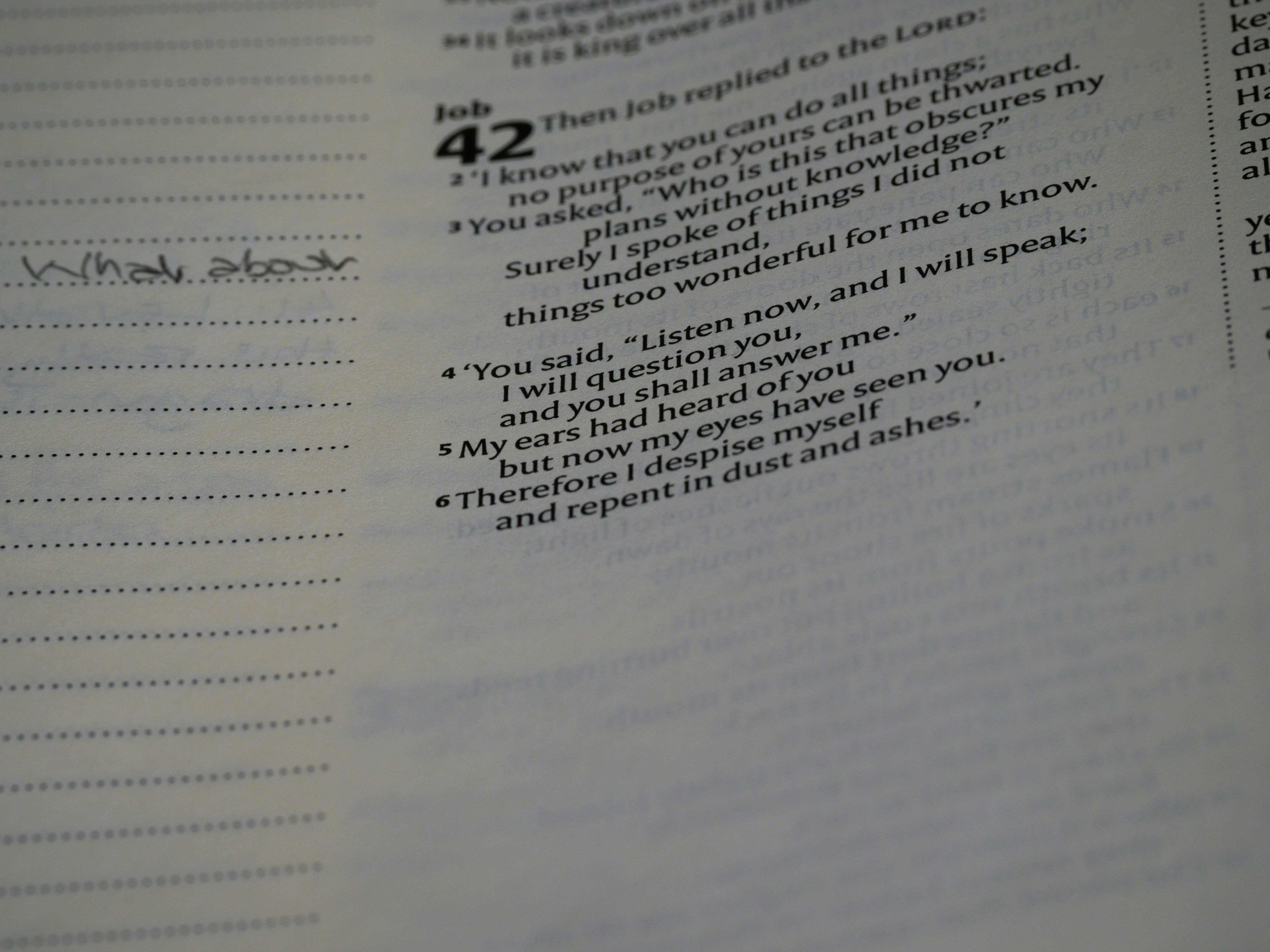 close up, bokeh, macro, blur, blurred background, close focus, bible, old testament, hebrew bible, christian, judaism, history, text, reading, bible study, devotions, text, NIV, New International Version, type, typography, canon, christianity, holy scripture, holy bible, scripture, old testament, hebrew bible, tanakh, ketuvim, book of job, job, אִיּוֹב, theodicy, satan, the accuser, הַשָּׂטָן,